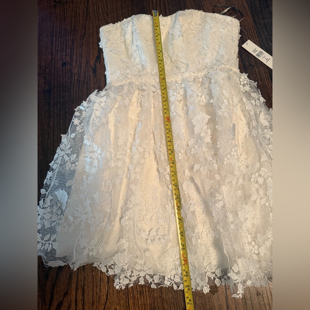 Gorgeous Monique Lluillier embroidered strapless mini dress - Picture 7 of 8